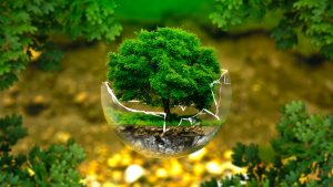 consultoria ambiental